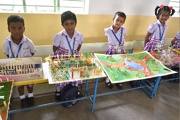 science expo_9